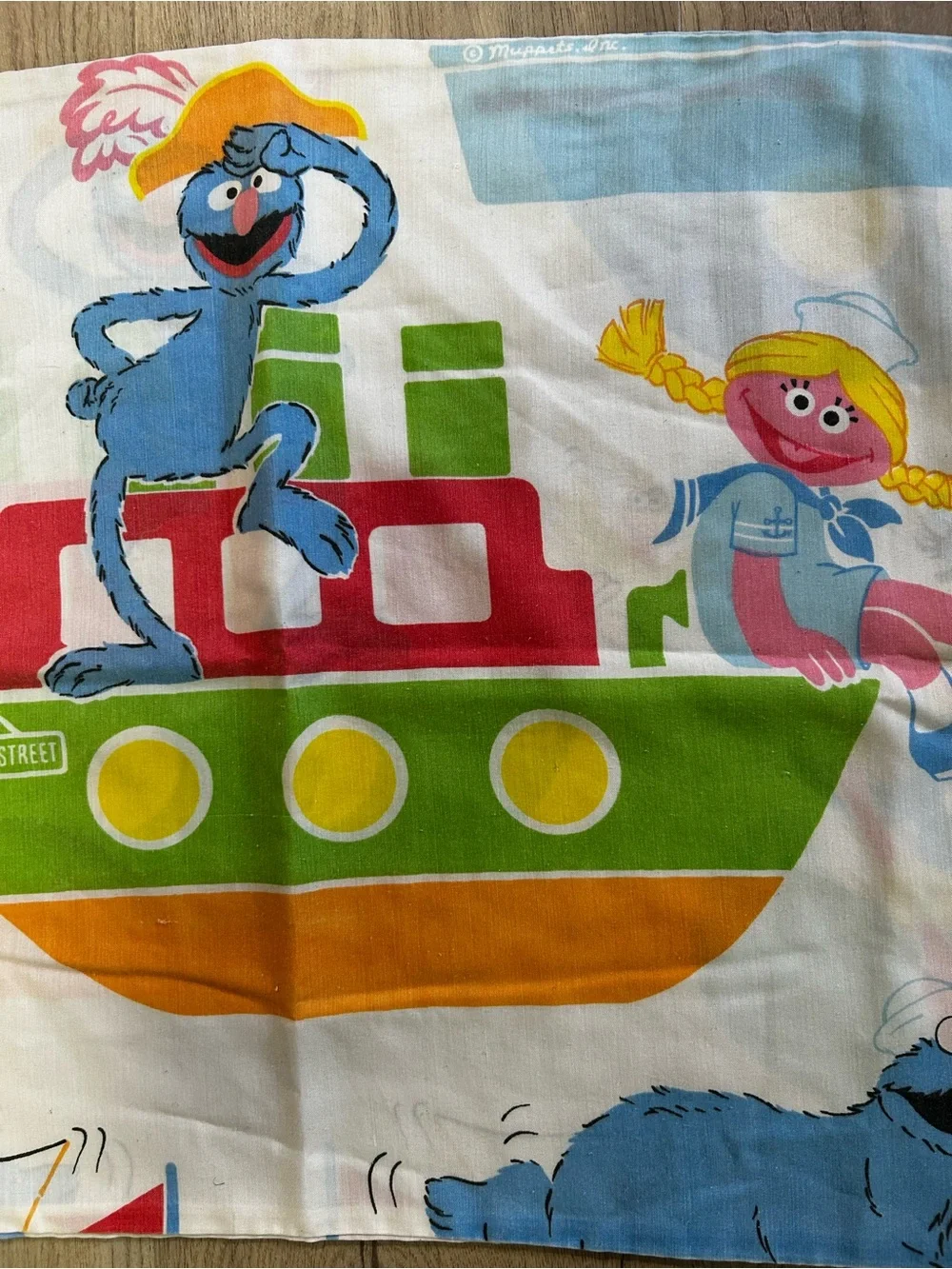Sesame Street Kids Boat Print Pillowcase - Multicolor